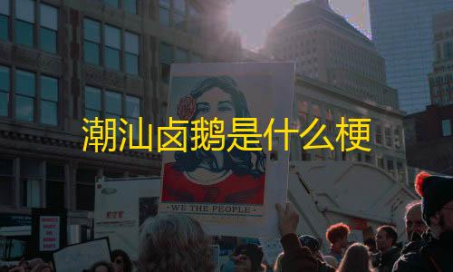 和平精英科技24小时自助下单潮汕卤鹅是什么梗